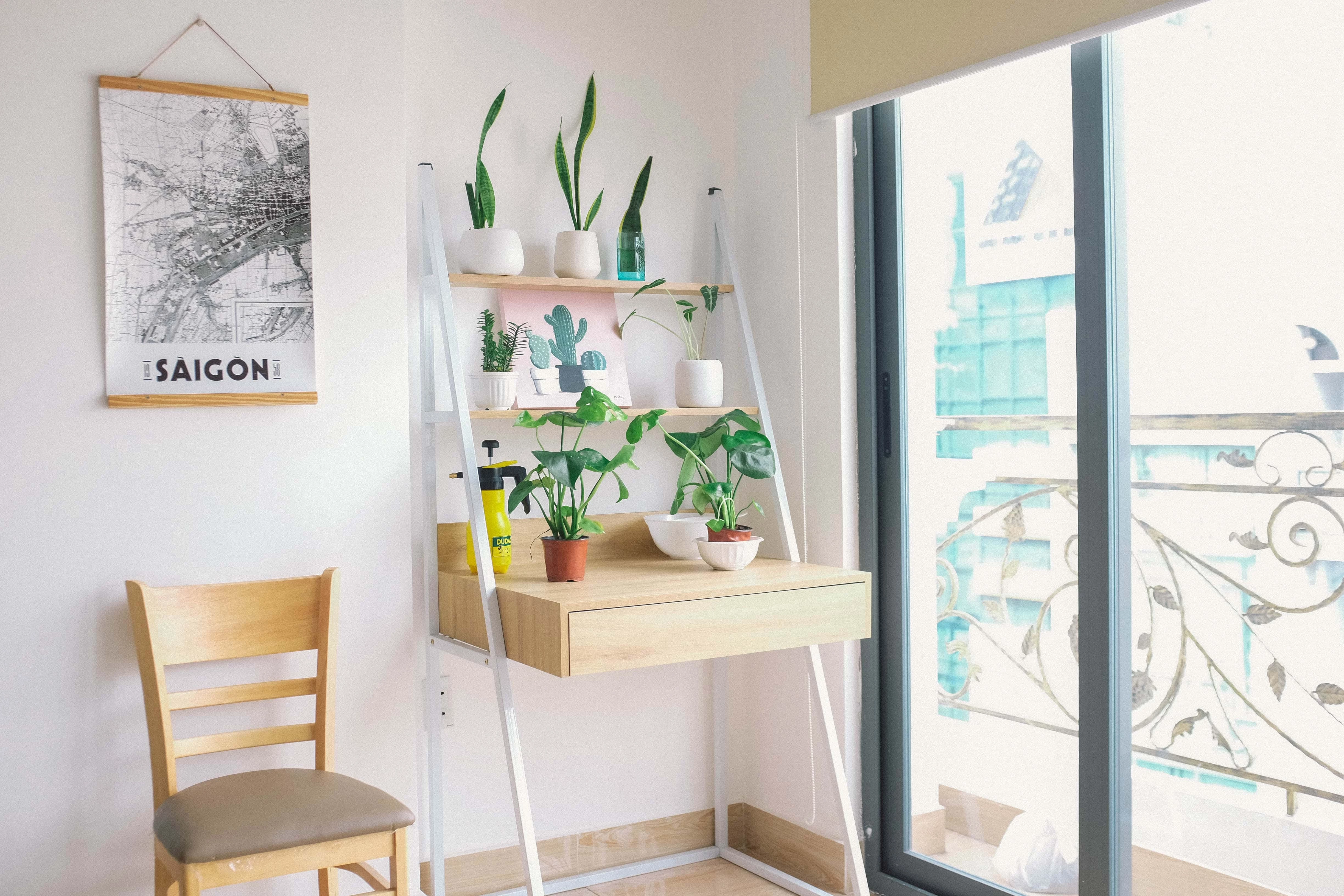 Bright, clean room with lots of plants on a desk and a Saigon print
